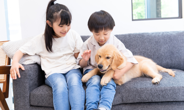 子供がソファでペットと一緒にいる写真